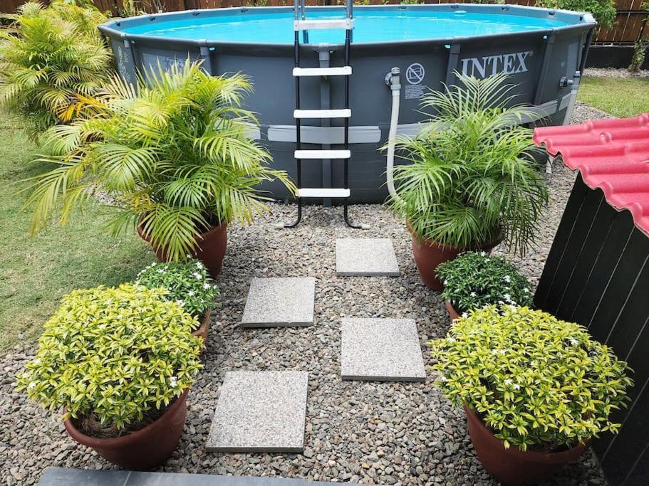 Maddy'S House Villa Maatea Ngoại thất bức ảnh